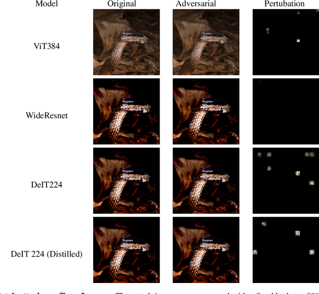 Figure 4 for Adversarial Token Attacks on Vision Transformers