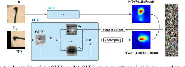 Figure 1 for Self-Interpretable Model with TransformationEquivariant Interpretation