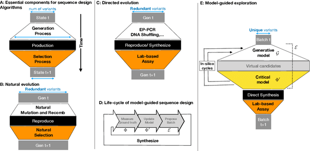 Figure 1 for A primer on model-guided exploration of fitness landscapes for biological sequence design