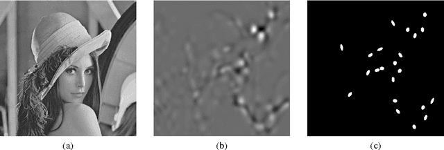 Figure 3 for Gabor Wavelets in Image Processing