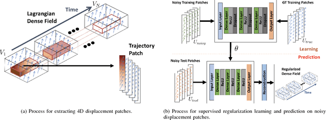 Figure 1 for Learning-based Regularization for Cardiac Strain Analysis with Ability for Domain Adaptation