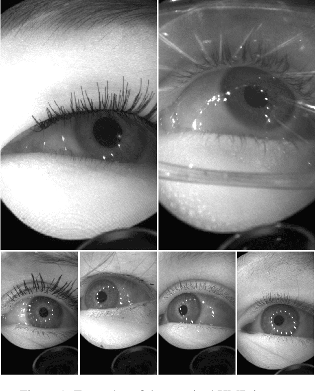Figure 1 for OpenEDS: Open Eye Dataset