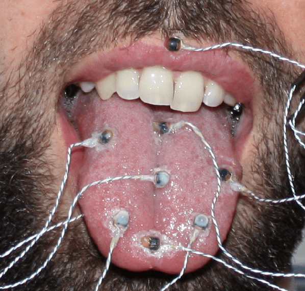 Figure 1 for Progress in animation of an EMA-controlled tongue model for acoustic-visual speech synthesis