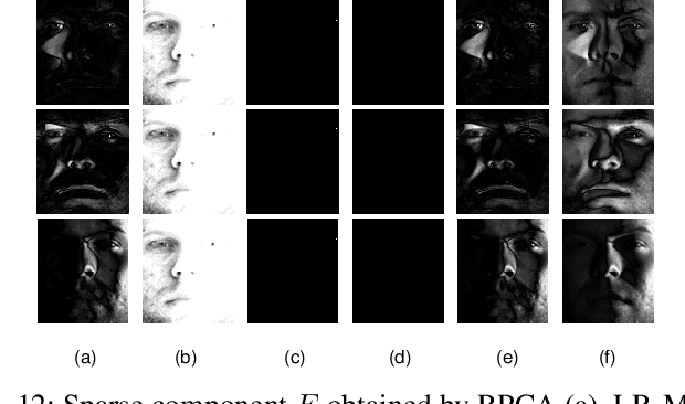 Figure 4 for Low-Rank Matrix Recovery from Noisy via an MDL Framework-based Atomic Norm