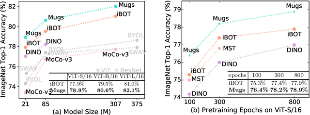 Figure 3 for Mugs: A Multi-Granular Self-Supervised Learning Framework