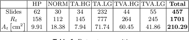 Figure 1 for Dysplasia grading of colorectal polyps through CNN analysis of WSI