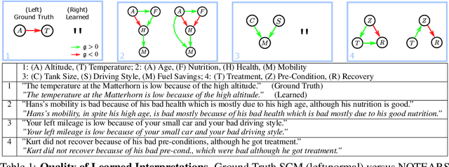 Figure 2 for Structural Causal Interpretation Theorem