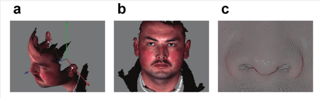Figure 1 for Automatic landmark annotation and dense correspondence registration for 3D human facial images