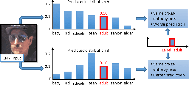 Figure 1 for Squared Earth Mover's Distance-based Loss for Training Deep Neural Networks