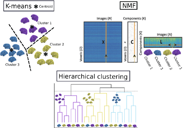 Figure 1 for Subtyping brain diseases from imaging data