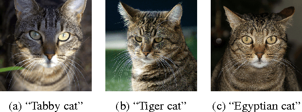 Figure 3 for Multilevel Context Representation for Improving Object Recognition