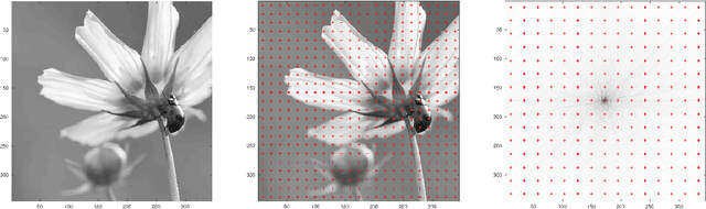 Figure 2 for Optimal translational-rotational invariant dictionaries for images