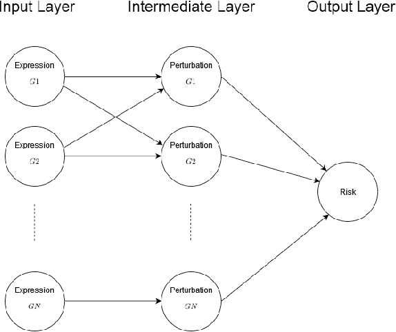 Figure 1 for MPVNN: Mutated Pathway Visible Neural Network Architecture for Interpretable Prediction of Cancer-specific Survival Risk