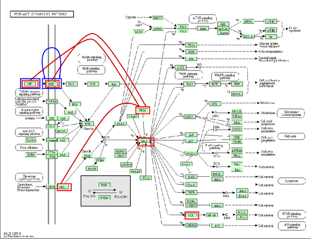 Figure 4 for MPVNN: Mutated Pathway Visible Neural Network Architecture for Interpretable Prediction of Cancer-specific Survival Risk