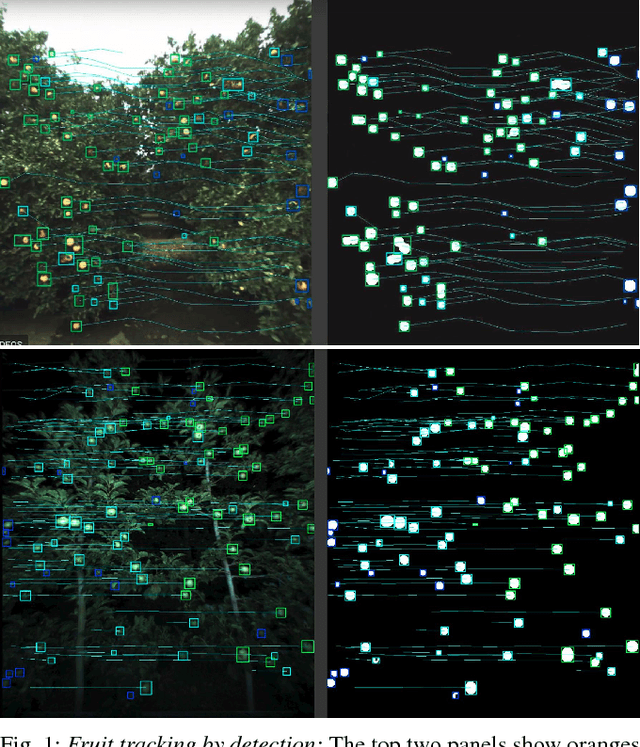 Figure 1 for Robust Fruit Counting: Combining Deep Learning, Tracking, and Structure from Motion