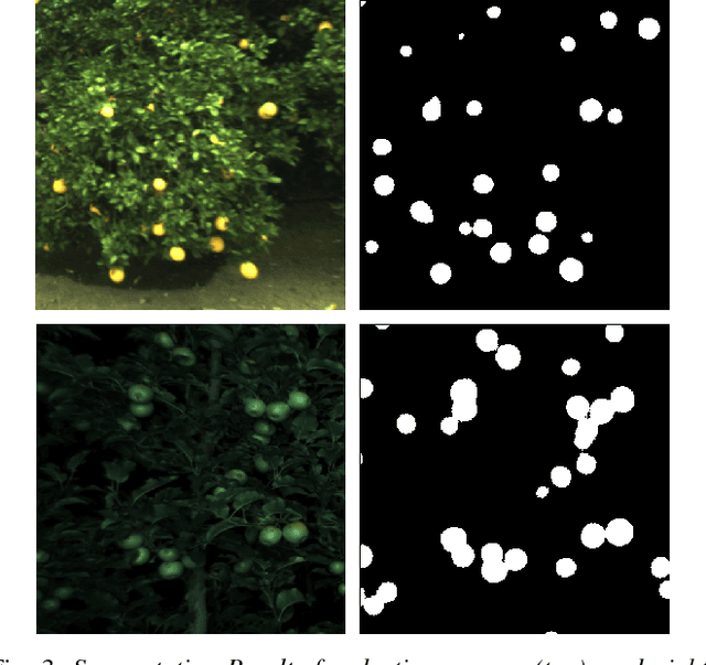 Figure 3 for Robust Fruit Counting: Combining Deep Learning, Tracking, and Structure from Motion