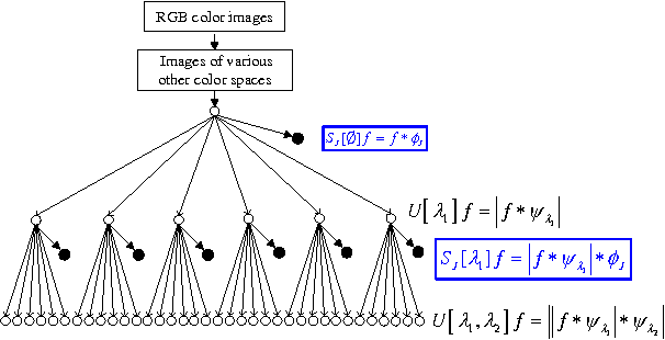 Figure 2 for Performance evaluation of wavelet scattering network in image texture classification in various color spaces