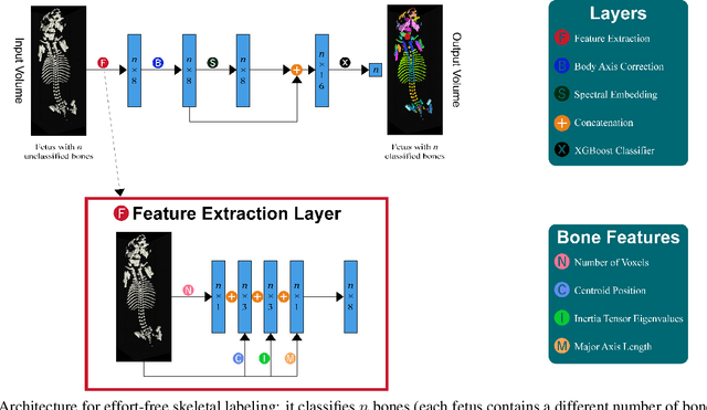 Figure 3 for Effort-free Automated Skeletal Abnormality Detection of Rat Fetuses on Whole-body Micro-CT Scans