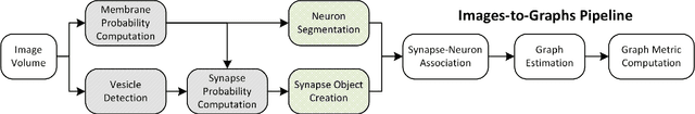 Figure 2 for An Automated Images-to-Graphs Framework for High Resolution Connectomics