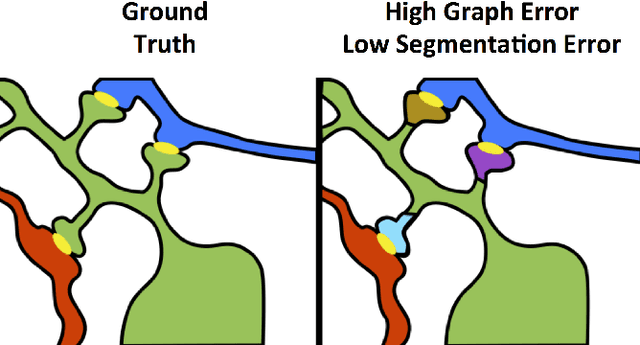 Figure 3 for An Automated Images-to-Graphs Framework for High Resolution Connectomics
