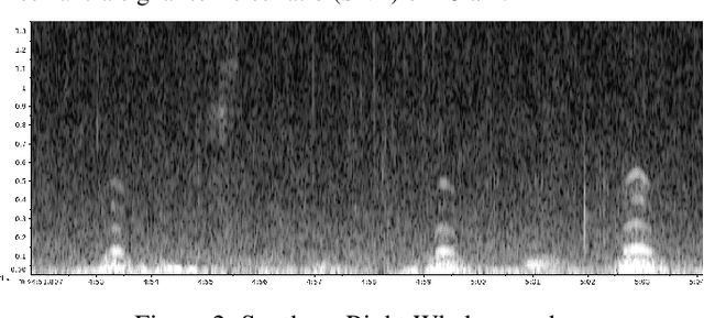 Figure 2 for Temporal separation of whale vocalizations from background oceanic noise using a power calculation