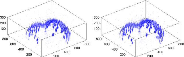 Figure 1 for Optical Flow on Evolving Sphere-Like Surfaces