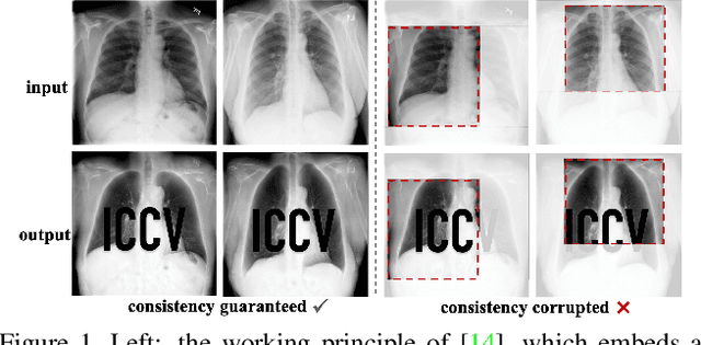 Figure 1 for Exploring Structure Consistency for Deep Model Watermarking