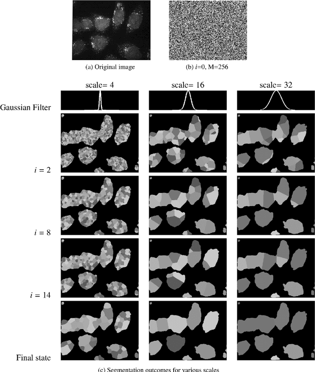 Figure 1 for Guaranteeing Convergence of Iterative Skewed Voting Algorithms for Image Segmentation