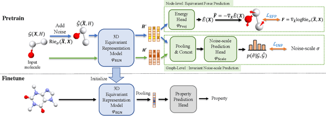 Figure 1 for 3D Equivariant Molecular Graph Pretraining