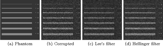 Figure 3 for Speckle Reduction using Stochastic Distances