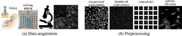 Figure 1 for It's easy to fool yourself: Case studies on identifying bias and confounding in bio-medical datasets