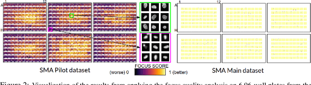 Figure 2 for It's easy to fool yourself: Case studies on identifying bias and confounding in bio-medical datasets