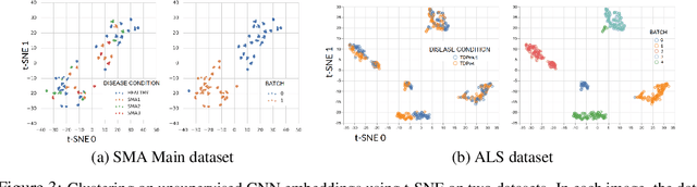 Figure 3 for It's easy to fool yourself: Case studies on identifying bias and confounding in bio-medical datasets
