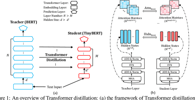 Figure 2 for TinyBERT: Distilling BERT for Natural Language Understanding