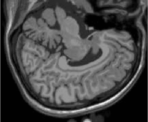 Figure 3 for Fuzzy-Based Dialectical Non-Supervised Image Classification and Clustering