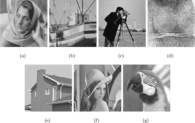 Figure 1 for Joint group and residual sparse coding for image compressive sensing