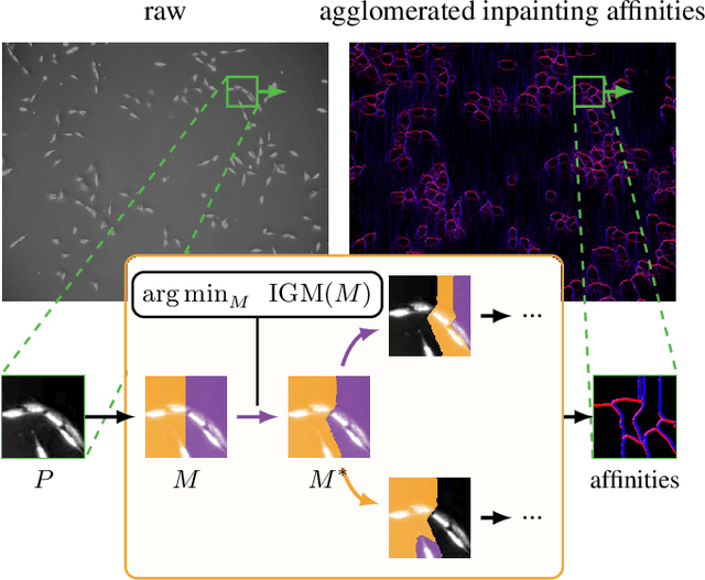 Figure 1 for Instance Separation Emerges from Inpainting