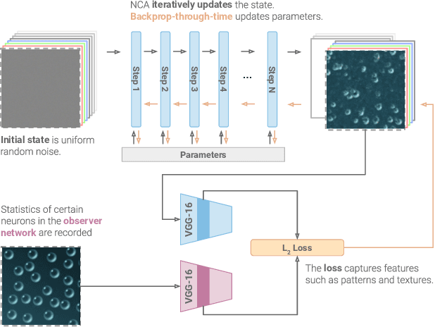Figure 2 for Texture Generation with Neural Cellular Automata