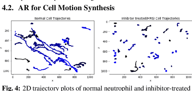 Figure 4 for Generative Spatiotemporal Modeling Of Neutrophil Behavior