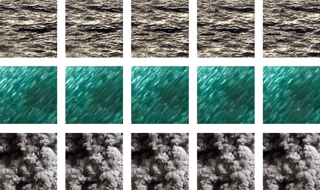 Figure 4 for Dynamic Texture Synthesis by Incorporating Long-range Spatial and Temporal Correlations