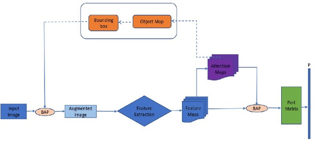 Figure 3 for Domain Adaptive Transfer Learning on Visual Attention Aware Data Augmentation for Fine-grained Visual Categorization
