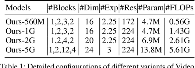 Figure 2 for Video Mobile-Former: Video Recognition with Efficient Global Spatial-temporal Modeling