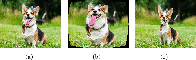 Figure 1 for Generative and Discriminative Learning for Distorted Image Restoration