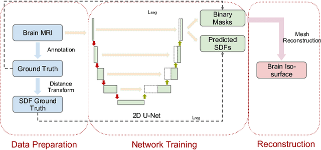 Figure 1 for Brain Surface Reconstruction from MRI Images Based on Segmentation Networks Applying Signed Distance Maps