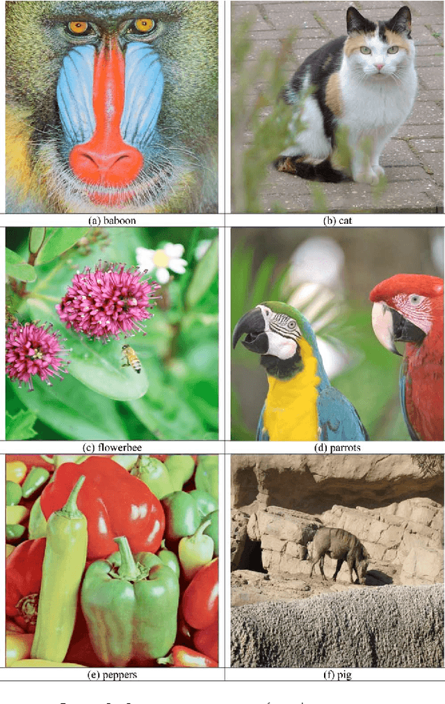 Figure 2 for A Fast Switching Filter for Impulsive Noise Removal from Color Images