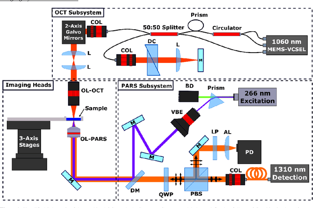 Figure 1 for Three-Dimensional Virtual Histology in Unprocessed Resected Tissues with Photoacoustic Remote Sensing (PARS) Microscopy and Optical Coherence Tomography