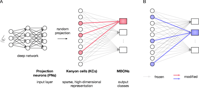 Figure 1 for Algorithmic insights on continual learning from fruit flies