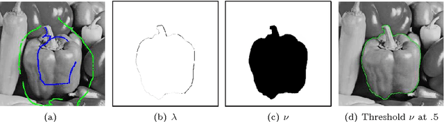 Figure 2 for Combinatorial Continuous Maximal Flows
