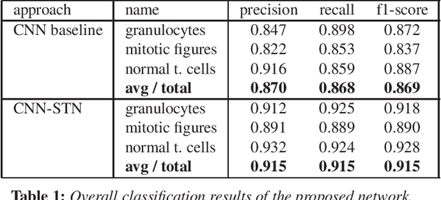 Figure 2 for A Guided Spatial Transformer Network for Histology Cell Differentiation