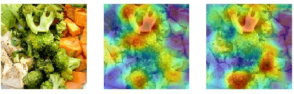 Figure 1 for A generalizable saliency map-based interpretation of model outcome